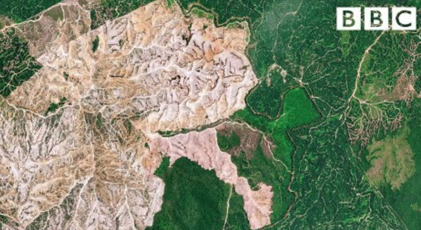 <ol><li><p>Habitat loss – what is driving habitat loss and land alteration?</p></li></ol><ul><li><p>Tropical def______ is the leading cause of bio_____ loss today</p></li><li><p>Arg______ accounts for the lions share of the conv_____ of for____ land</p></li><li><p>Only one quarter of the ea___ la___ is free of hu____ activities</p></li></ul><p></p>