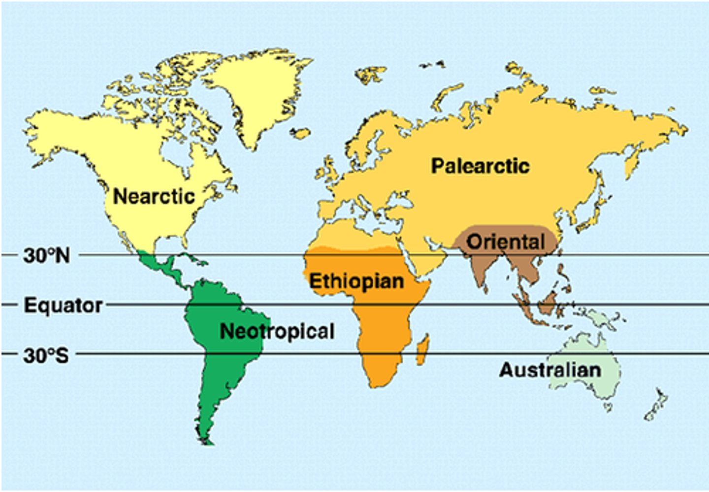 <p>Subdivide earth on basis geographic distributions of related species, genera or families</p>