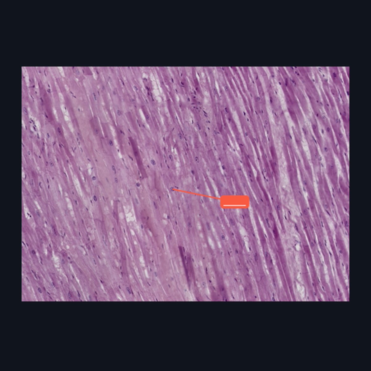 <p>Identify the structure</p>
