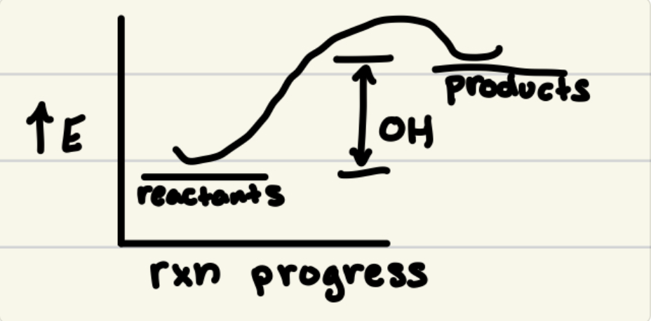 <p>Heat enters system (reactants + heat → products)</p>