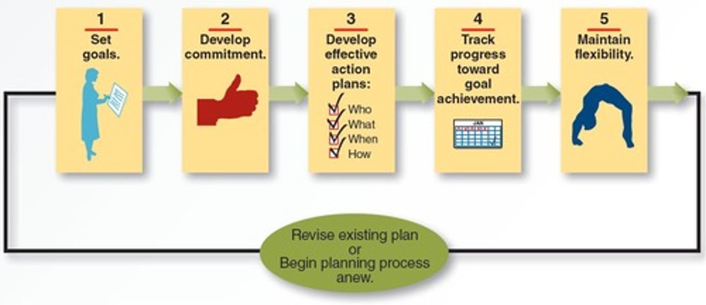 <p>Outline the necessary actions to develop a successful plan.</p>