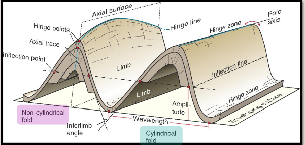 <ul><li><p><strong>Cyclindrical folds</strong>: hinge projects as straight (like a toilet roll)</p><p></p></li><li><p><strong>Non-cylindrical folds:</strong> hinge projects as curved line (can indicate redeformation or dome/basin structure)</p></li></ul><p></p>