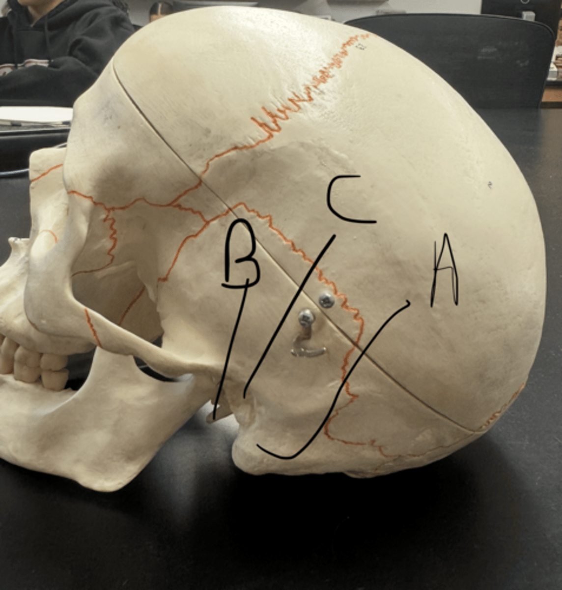 knowt flashcard image