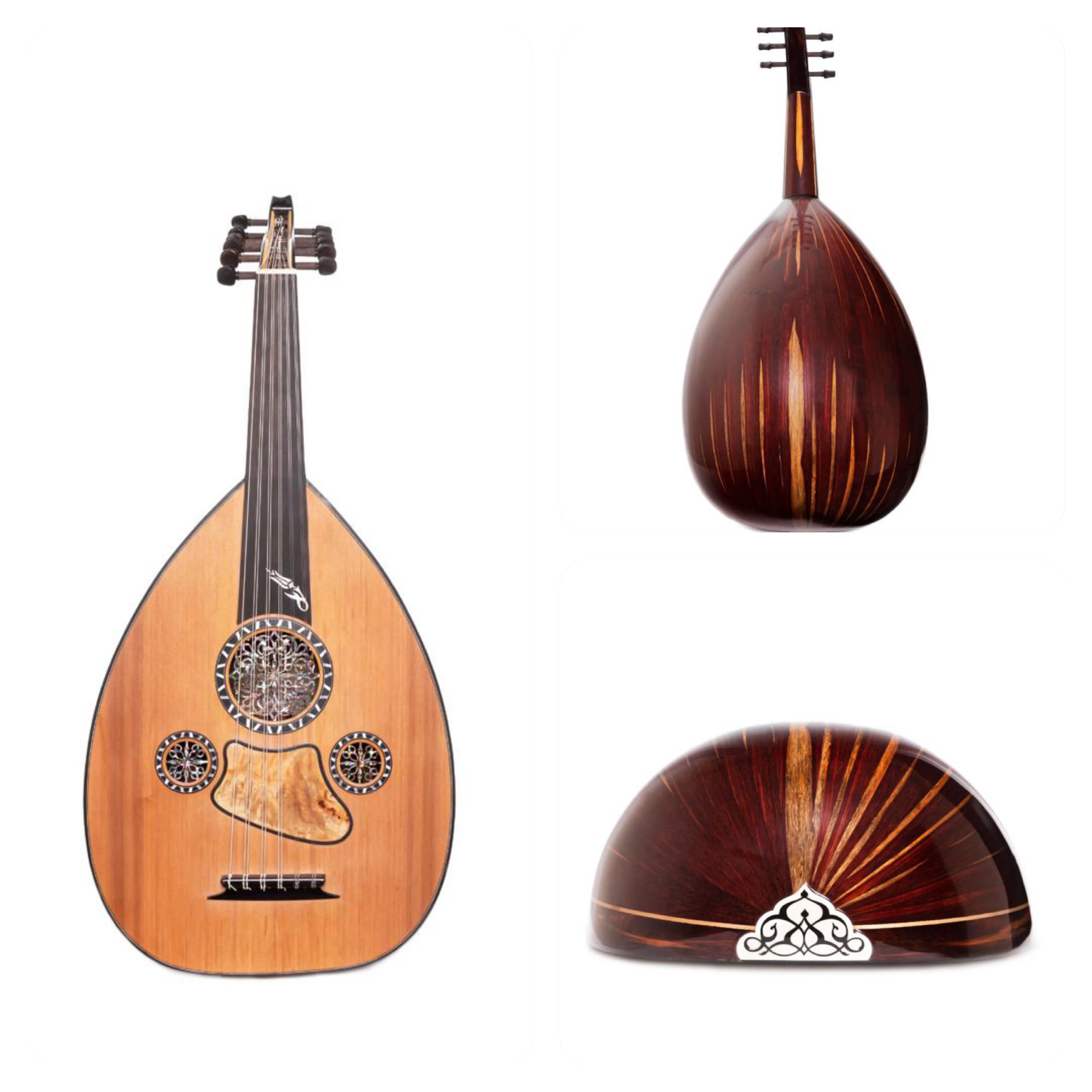 <p>stringed instrument often described as warm and expressive</p>