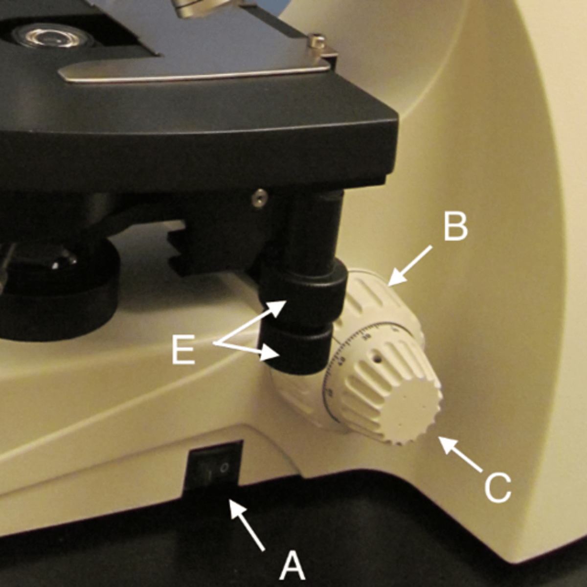 <p>E</p>