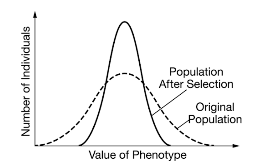<p><span>Which of the following descriptions explains the graph below?</span></p>