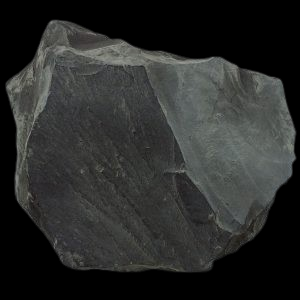 <p>Mudstone</p>
