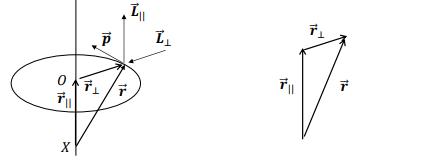 <p>What is <strong>L</strong>∣∣​ in the context of angular momentum?</p>