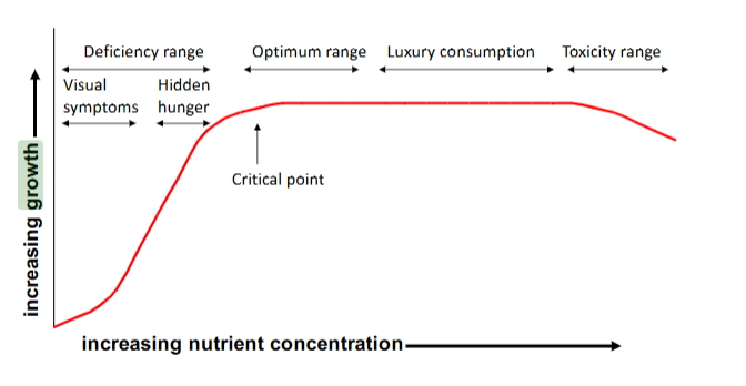 <p><mark data-color="#fcff50" style="background-color: rgb(252, 255, 80); color: inherit;">coconote</mark></p>