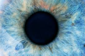 <p>The <strong><em></strong></em>__ is the opening in the center of the iris that regulates the amount of light that enters the eye.</p>