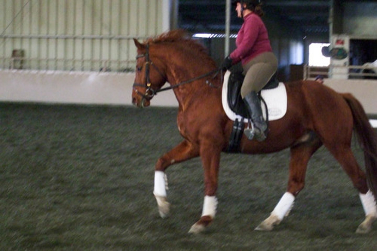 <p>Hanoverian</p>