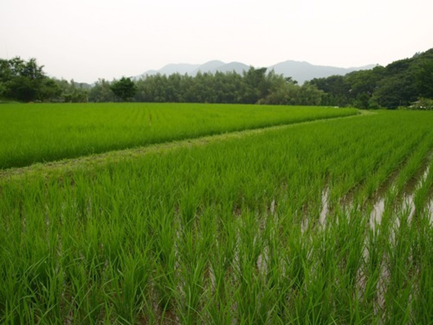 <p>vụ, mùa</p>