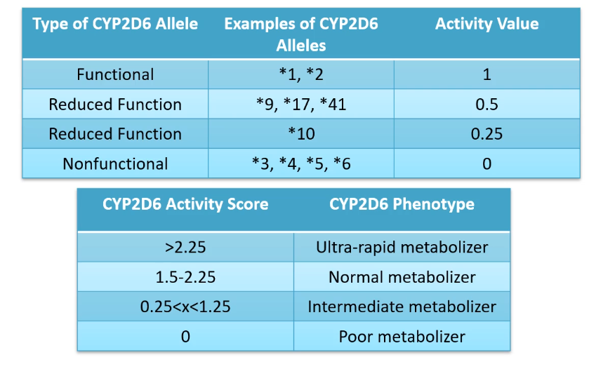 <p>lets say Mark gets diplotype *2 from his dad and *6 from his mom</p><p></p><p>how well would he metabolize Debisoquine? </p><p></p><p>would you need to increase or decrease his dose? </p>