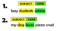 A complete sentence.