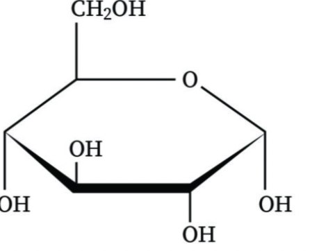 <p>Is this an alpha or beta anomer</p>
