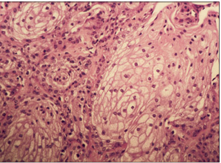 <p>name of histologic slide:</p><p>Specie:</p><p>Stain used:</p>