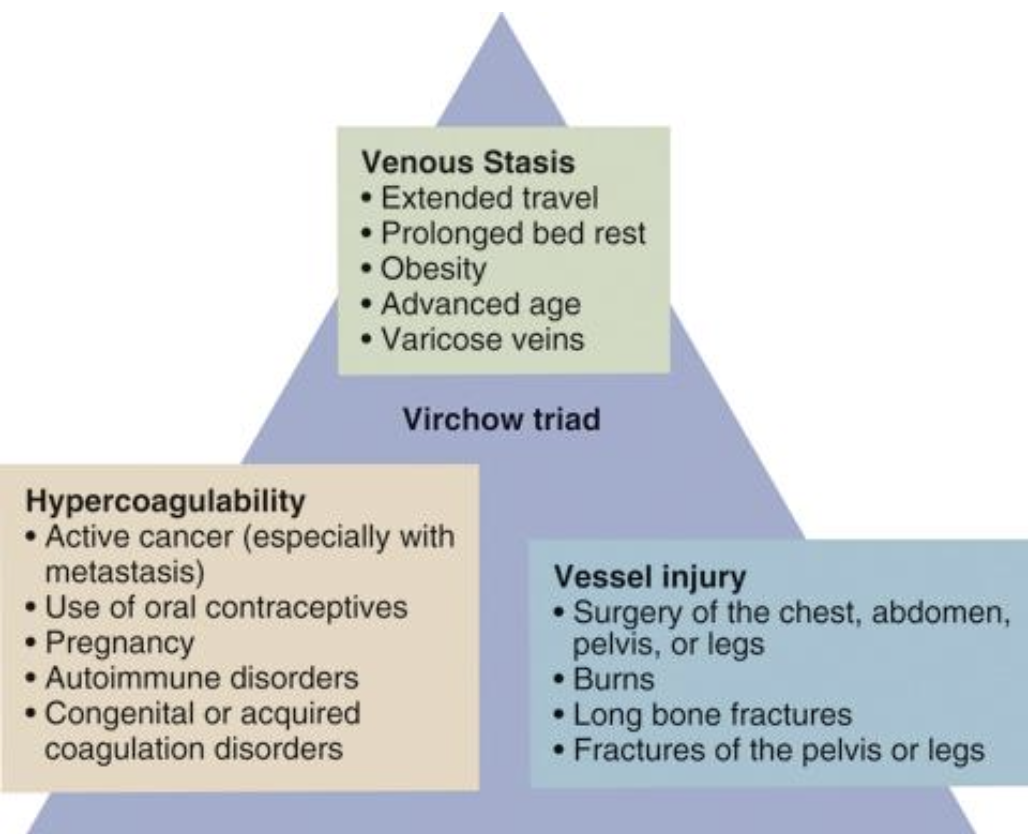 <p>factors contribute to clot formation</p><ul><li><p>Hypercoagulability</p></li><li><p>Stasis</p></li><li><p>Vessel injury</p></li></ul><p></p>