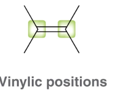 <p>directly bonded to C=C double bond</p>