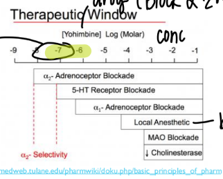 <p>explain this window</p>