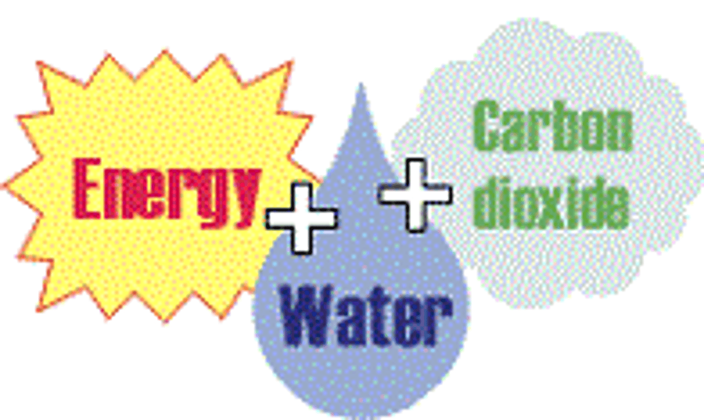 <p>carbon dioxide, water, and ATP</p>