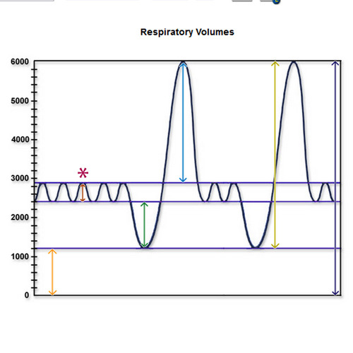 <p>2.1.3: What does the yellow arrow represent?</p>