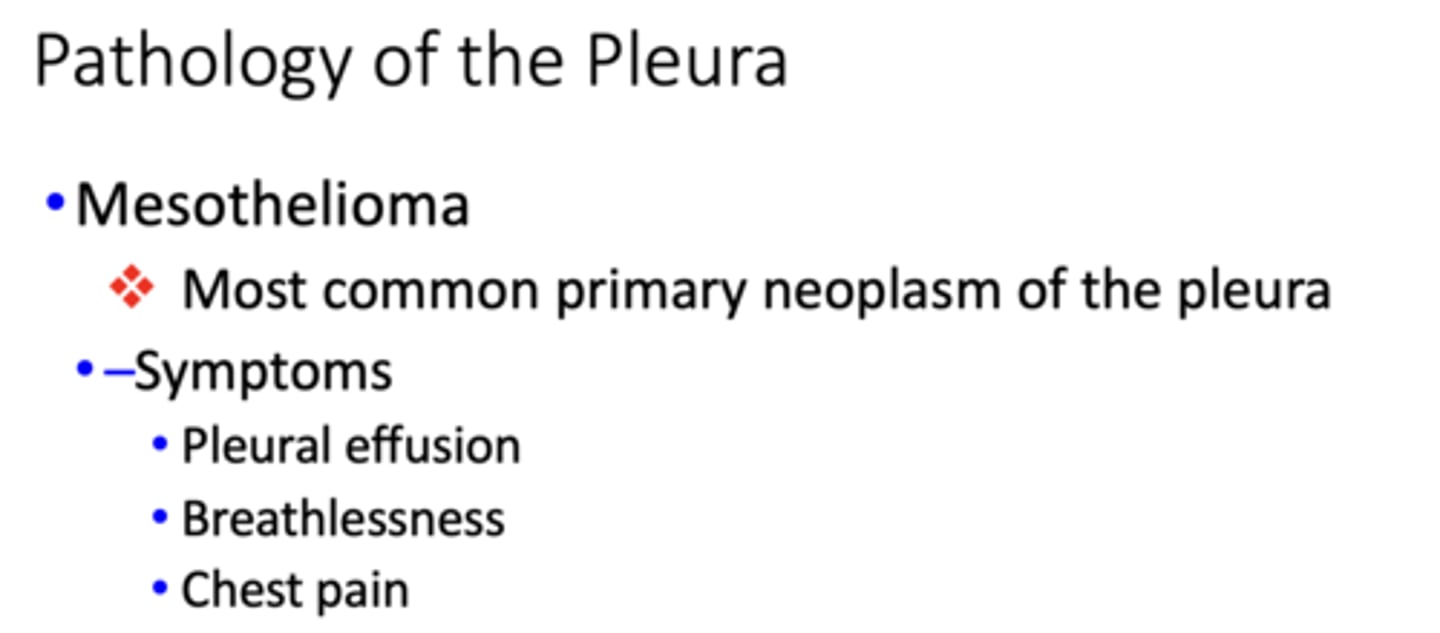 <p>Mesothelioma</p>