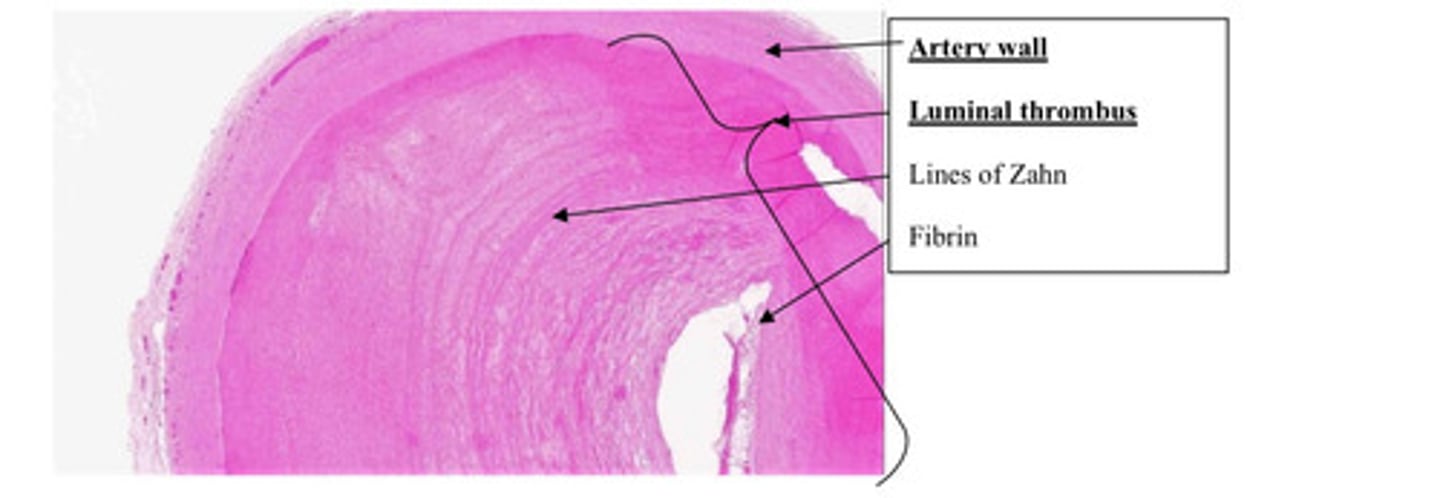 <p>What is this?</p>