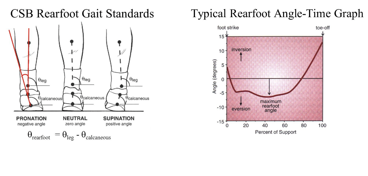 <ul><li><p>situation is not so simple</p><ul><li><p>Most joints exhibit gliding / sliding during rotation</p></li><li><p>The axis of rotation moves during joint motion</p></li><li><p>Instant centre of rotation</p><ul><li><p>The axis of rotation at a given instant</p></li></ul></li></ul></li></ul><p></p>