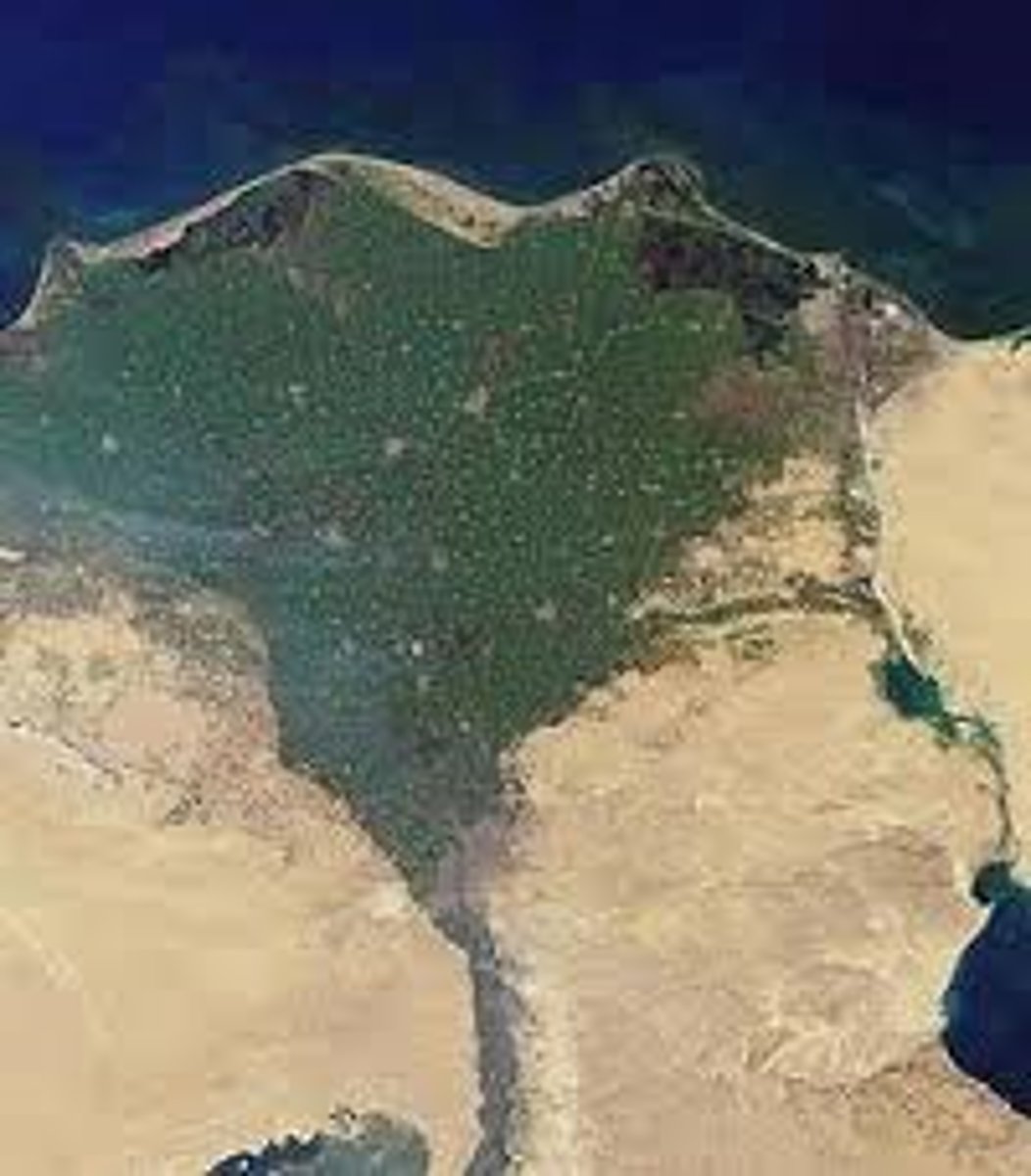 <p>This fan-shaped deposit of sediment that is created when a river's current slows when it empties into a large body of water, such as a lake or an ocean</p>