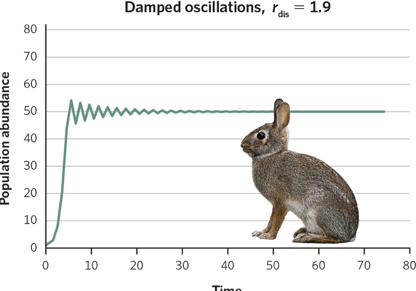 <p>The population overshoots K a little, then undershoots, then overshoots again -- each swing gets smaller until it stabilizes at K</p>
