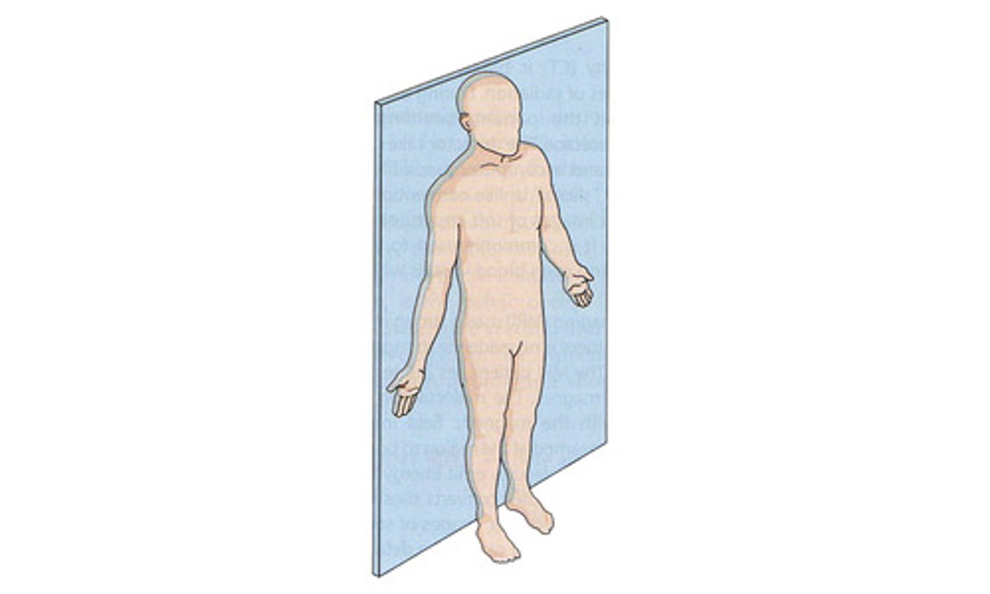 <p>divides the body into front and back</p>