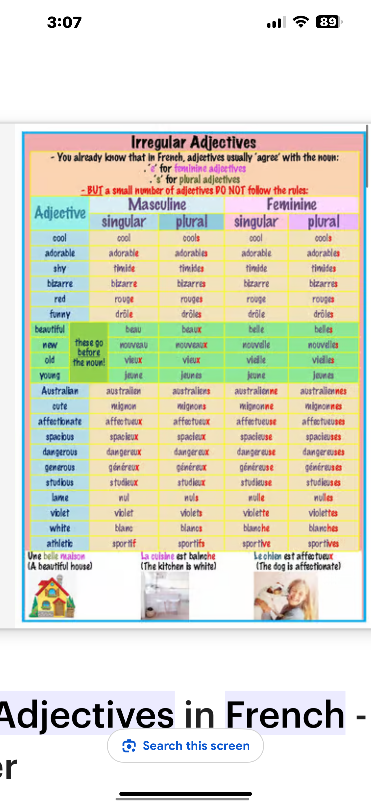 <p>In French, to describe something as 'tall' or 'big', you would use the adjective <strong><em><em></em></strong></em>__.</p>