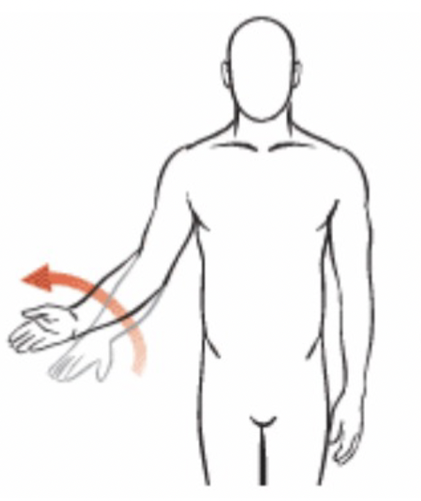 <p>This is called</p>