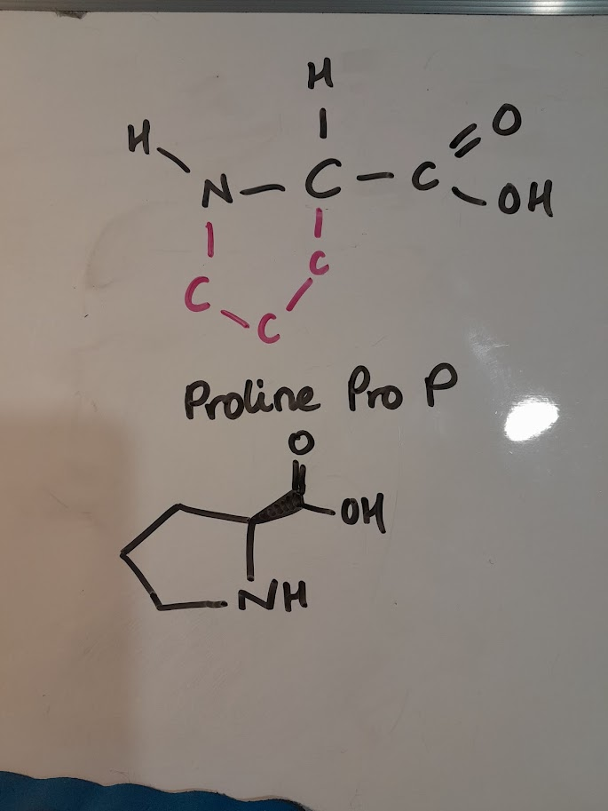 <ul><li><p>Pro</p></li><li><p>P</p></li><li><p>hydrophobic nonpolar</p></li><li><p>aliphatic</p></li></ul><p></p>