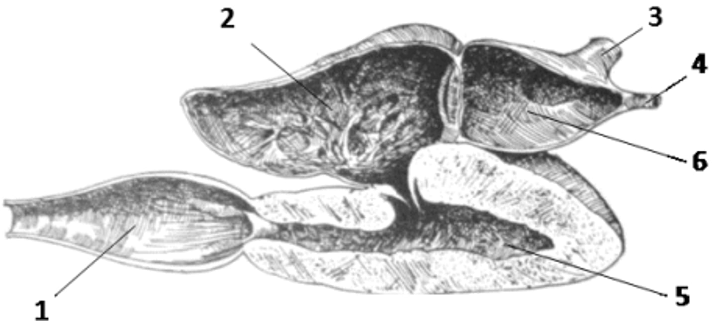 <p>2</p>