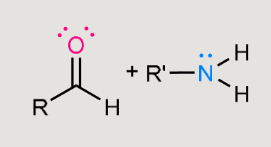 <p>What does this form under mildly acidic conditions?</p>
