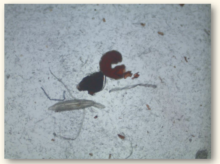 <p>What is this?</p>