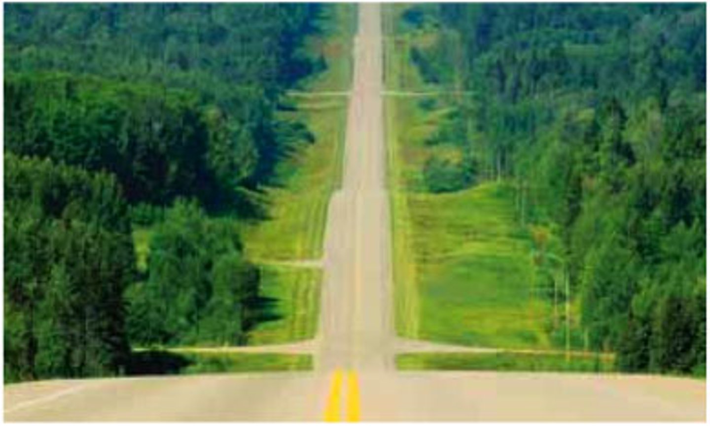 <p>A process that splits ecosystems into fragments. For example - deforestation in Florida leading to islands; putting a road through a forest.</p>