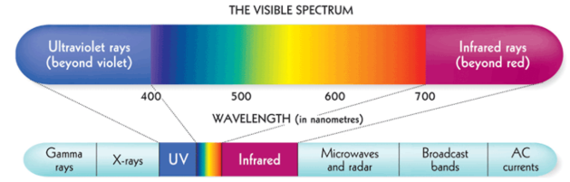 <p>We only perceive a narrow range of them, </p><ul><li><p>different _____ = different colors</p></li><li><p>Peak to peak</p></li></ul><p></p>