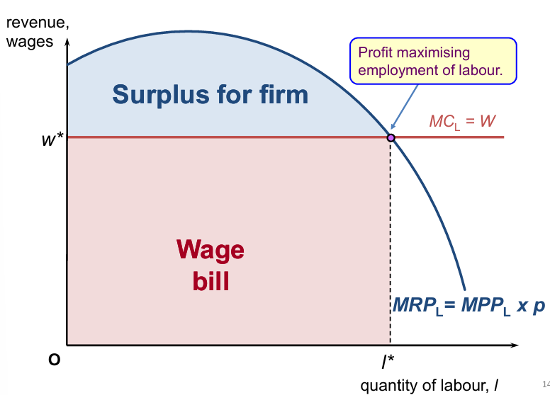 <p>Pmax position for an individual firm in the labour market: </p>