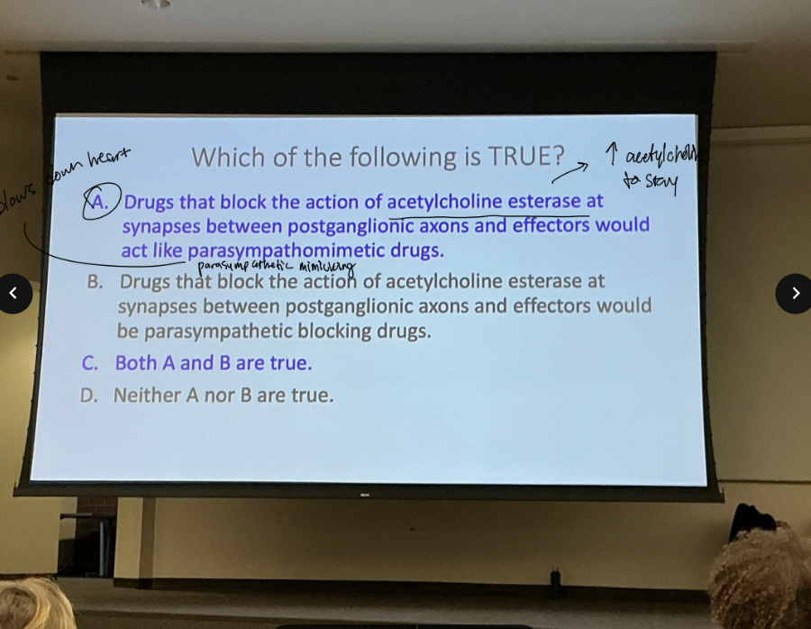 <p>Which of the following is true?</p><p>A. Drugs that block the action of ACh esterase at synapses between postganglionic axons and effectors would act like parasympathomimetic (parasympathetic mimicking) drugs </p><p>B. Drugs that block the action of ACh esterase at synapse between postganglionic axons and effectors would be parasympathetic blocking drugs</p><p>C. Both A and B are true</p><p>D. Neither A nor B are true. </p>