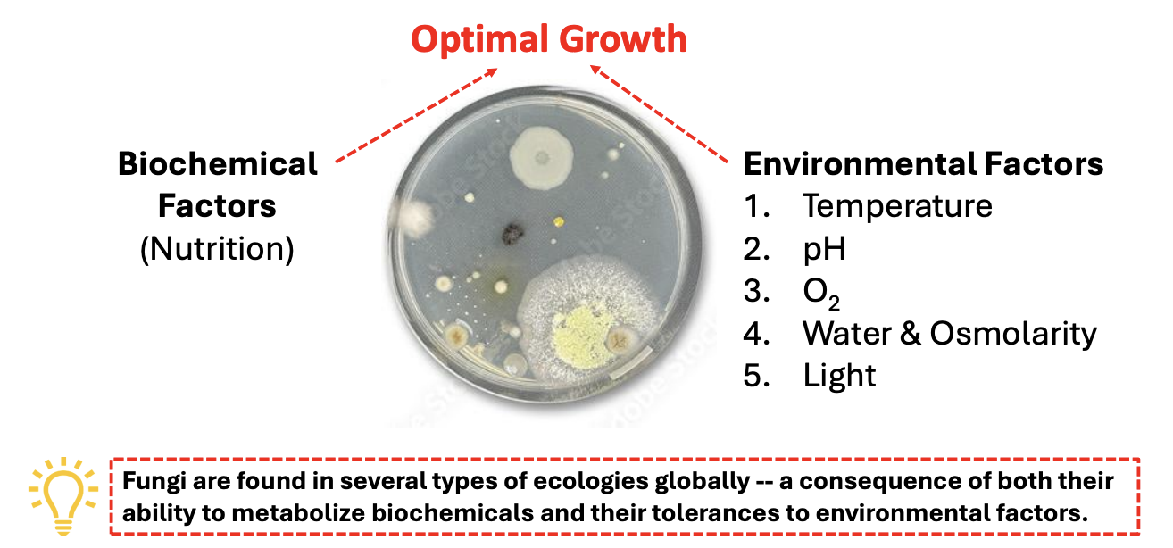 <ul><li><p>their ability to <strong>metabolize biochemicals</strong></p></li><li><p>their <strong>tolerances to environmental factors</strong></p></li></ul><p></p>