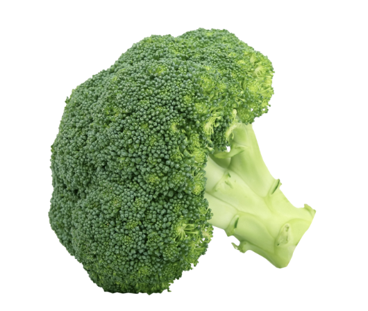 <p></p>