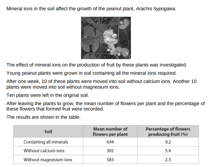<p>Comment on the results  of this investigation</p>