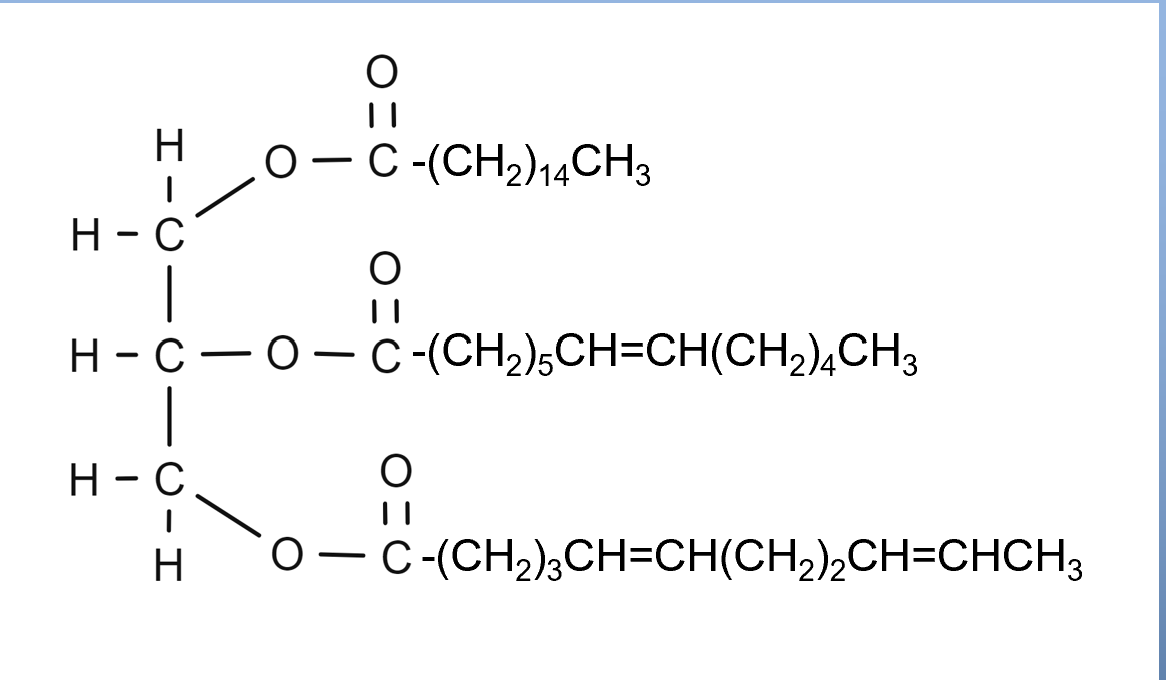 <p>Determine the type of soap that can be made from this equation: </p>