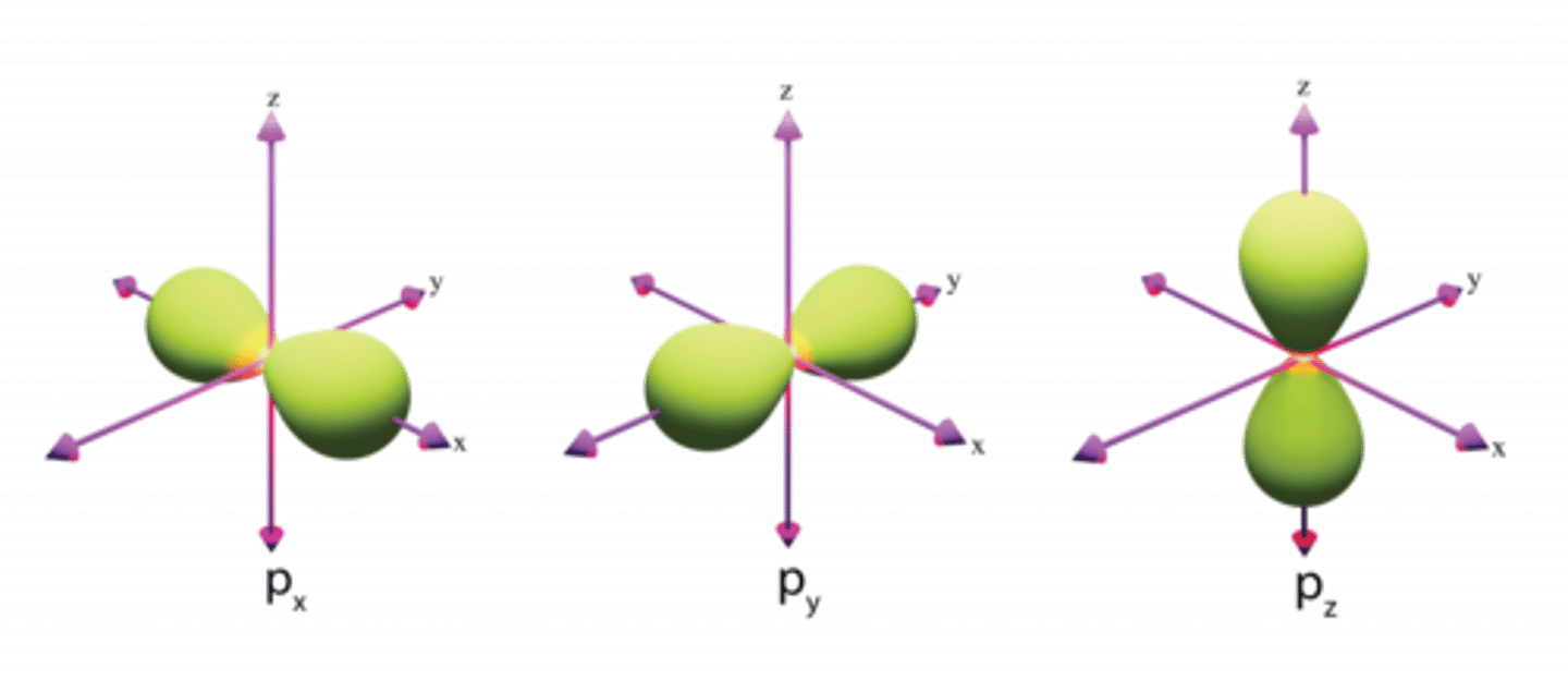 <p>Dumb-bell shape</p>