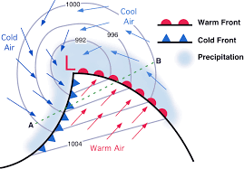 <p>Cold front, warm front, cyclonic (counter-clockwise) rotation</p>