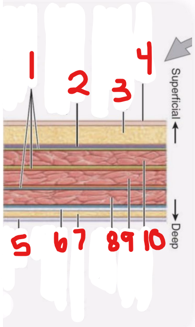 <p>9 </p>