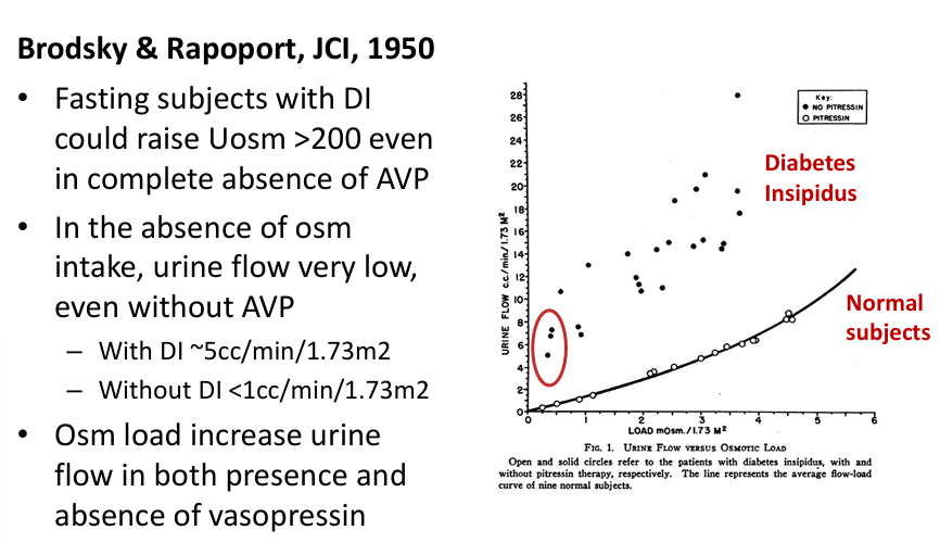 <p>-urine must contain Osms</p><p>-Na+, K+, NH4+, conjugate anions, and urea</p><p>-”tea and toast”, beer potomania</p><p>-low protein intake = inability to generate large volume of dilute urine</p><p>-Uosm usually low (&lt;200) compared to SIADH</p>