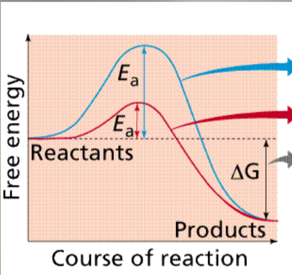 <p>Analyze data seen in photo</p>